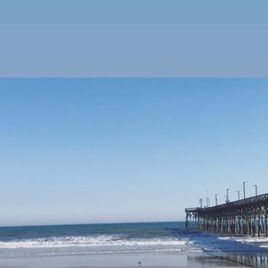 Meet your Posher, Darlene